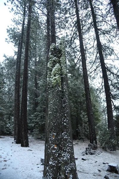 DSC_5833 (Large).JPG